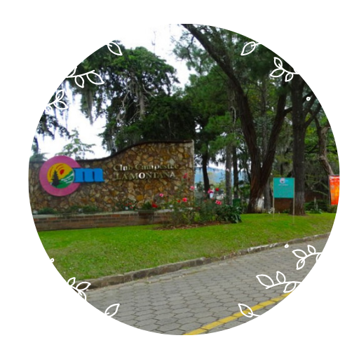 invitacion-digital-XV-classic-rose-foto-circular-entrada-vehicular-club-campestre-2