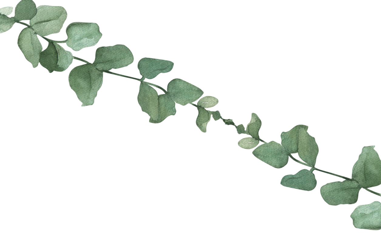 invitacion-digital-boda-garden-planta-diagonal-hojas-verdes