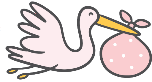 invitacion-digital-bshower-rose-ciguena-rosada-ave-volando-nina