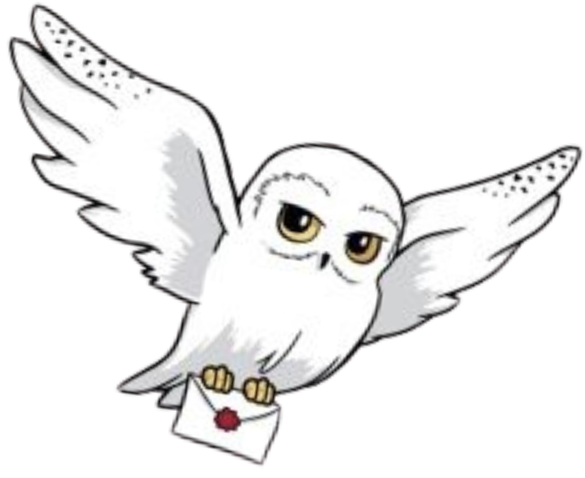 invitacion-digital-XV-harry-potter-lechuza-blanca-con-carta