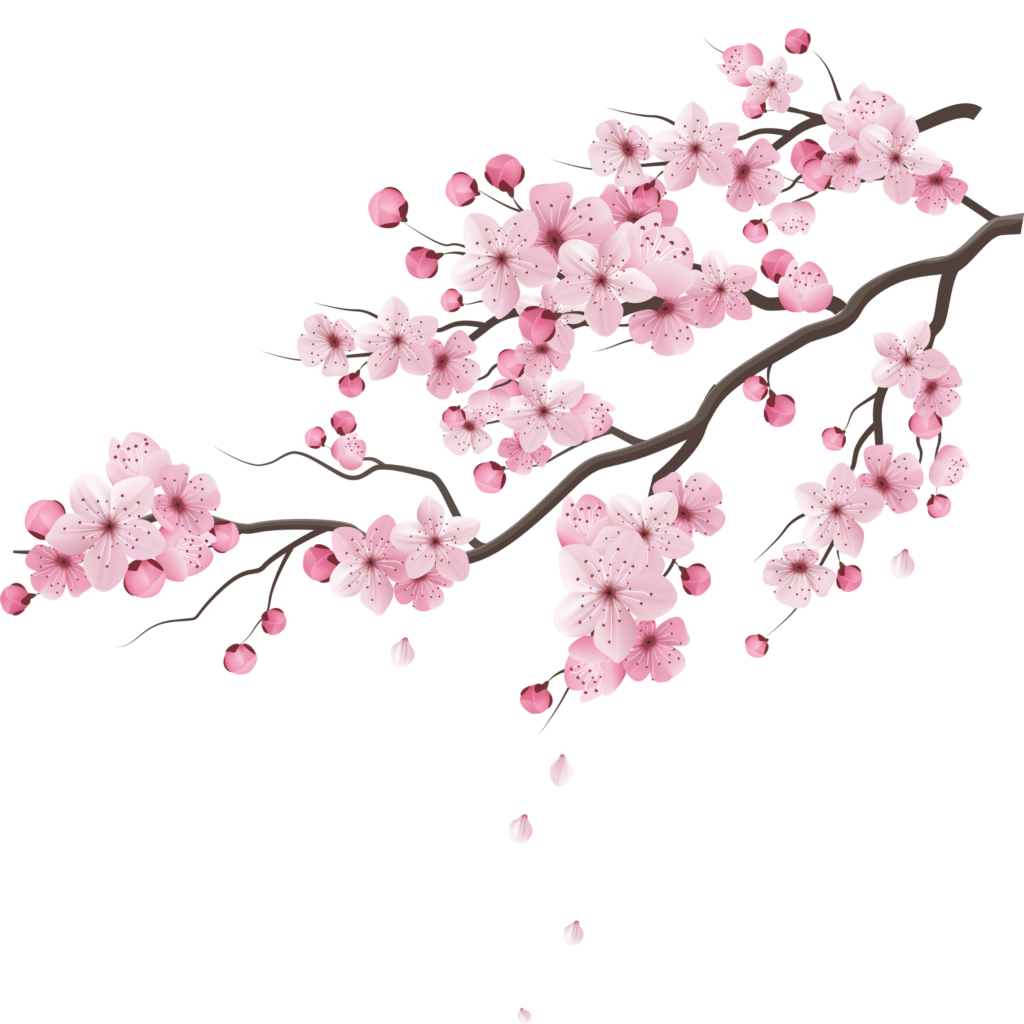 invitacion-digital-XV-sueno-sakura-diseno-rama-con-flores-rosas-desde-esquina-superior-derecha-2