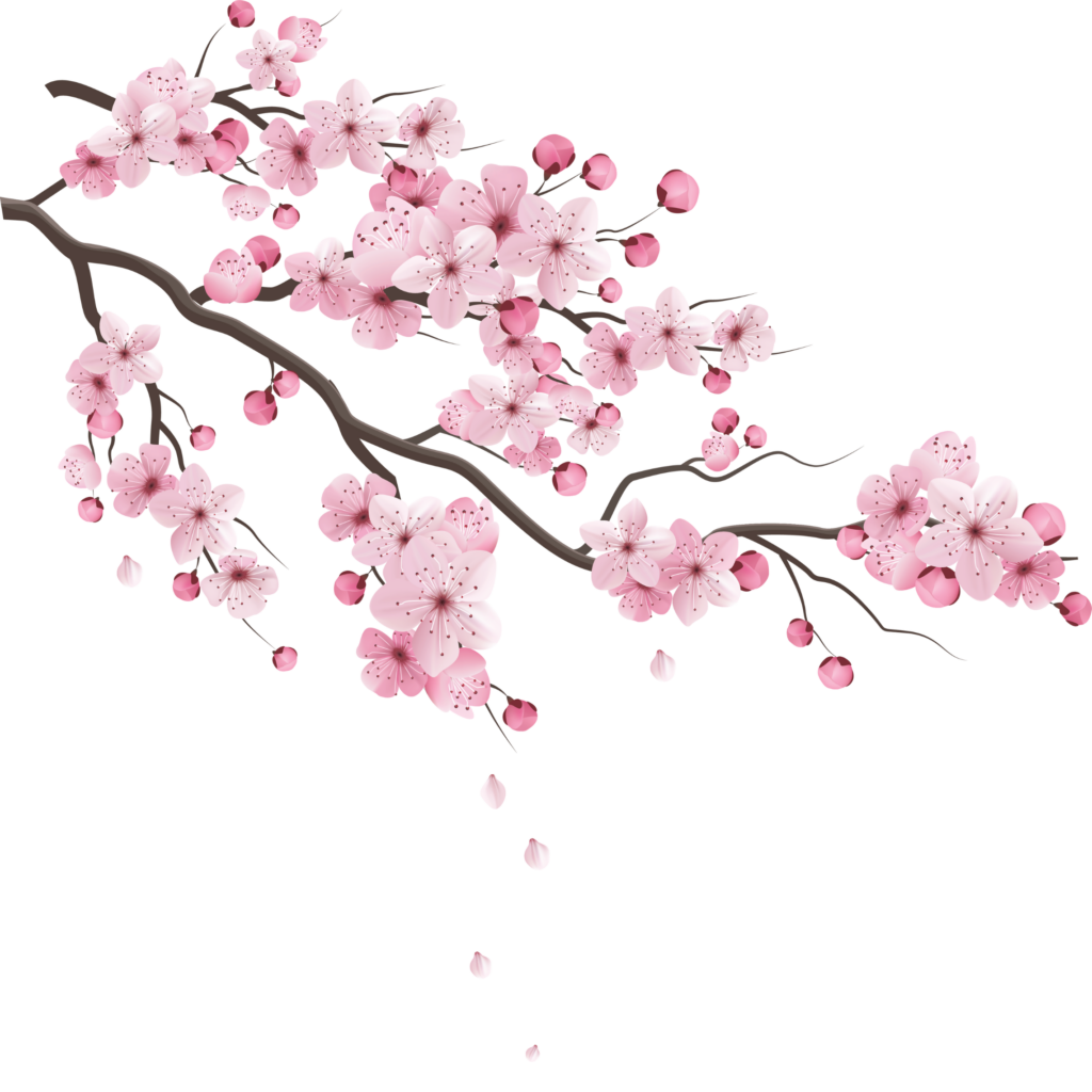 invitacion-digital-XV-sueno-sakura-diseno-rama-con-flores-rosas-desde-esquina-superior-izquierda