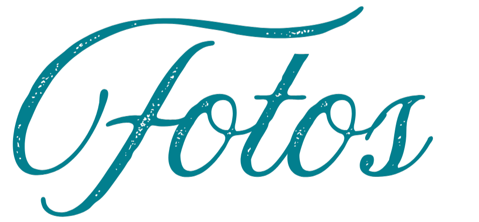 invitacion-digital-XV-princesa-mariposa-texto-celeste-cursiva-fotos