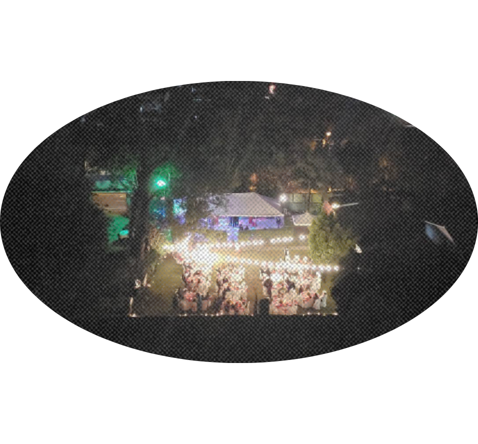 invitacion-digital-boda-epoca-dorada-foto-eliptica-vista-desde-arriba-jardin-con-luces-y-carpa